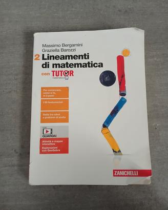  2 Lineamenti di matematica 