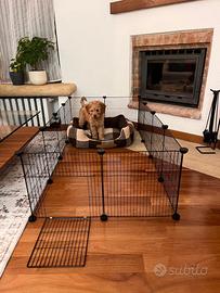 Recinto cani piccoli o altri animali