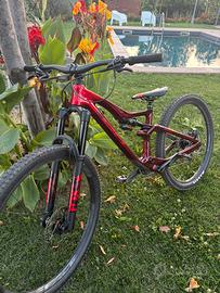 Bici da treil / enduro