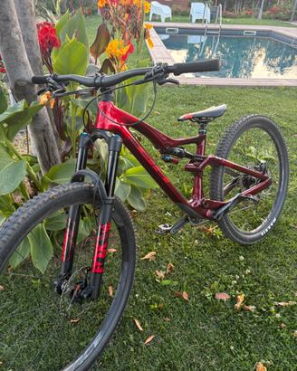 Bici da treil / enduro