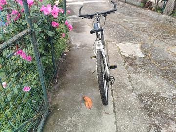 bici Mountain bike 