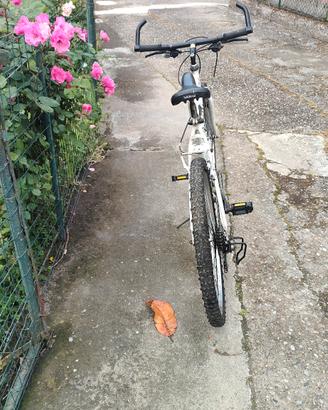 bici Mountain bike 