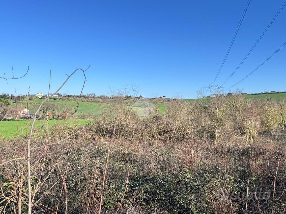 TER. AGRICOLO A RIMINI - Vista 5