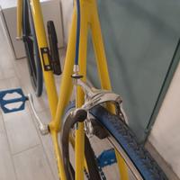 Bici scatto fisso
