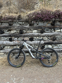 Canyon Spectral