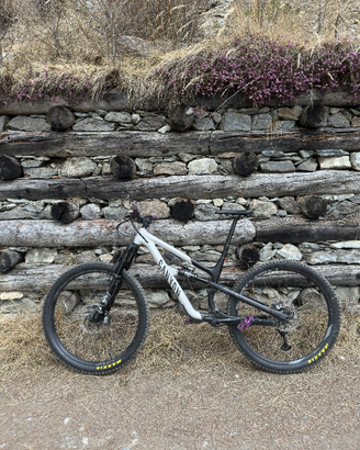 Canyon Spectral