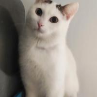 Una famiglia per Carlo