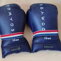 guantoni da boxe blu Domyos(10 oz)