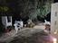 Immagine 13