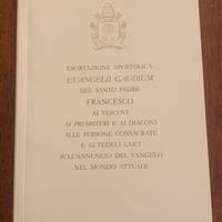 Libro enciclica di Papa Francesco