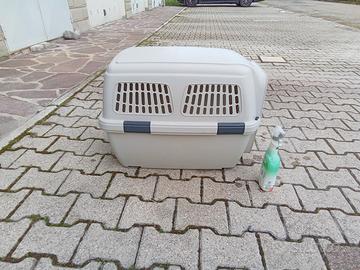 Trasportino 
