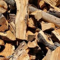 Legna da ardere di ulivo