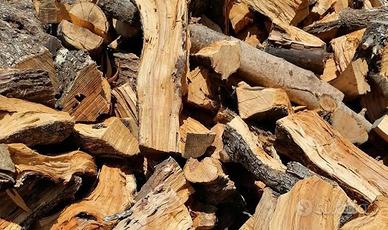 Legna da ardere di ulivo