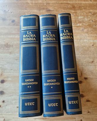 La Sacra Bibbia vintage 