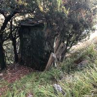 Capanno per osservazione uccelli