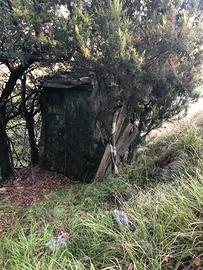 Capanno per osservazione uccelli