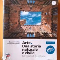 Arte.una storia nazionale e civile 1 ed.blu