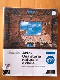 Arte.una storia nazionale e civile 1 ed.blu