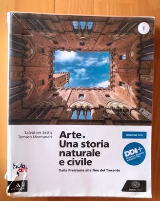 Arte.una storia nazionale e civile 1 ed.blu
