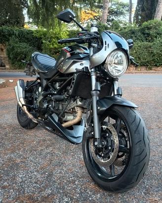 Suzuki SV650X X-TER Ed. Limitata - Grigio Aspen