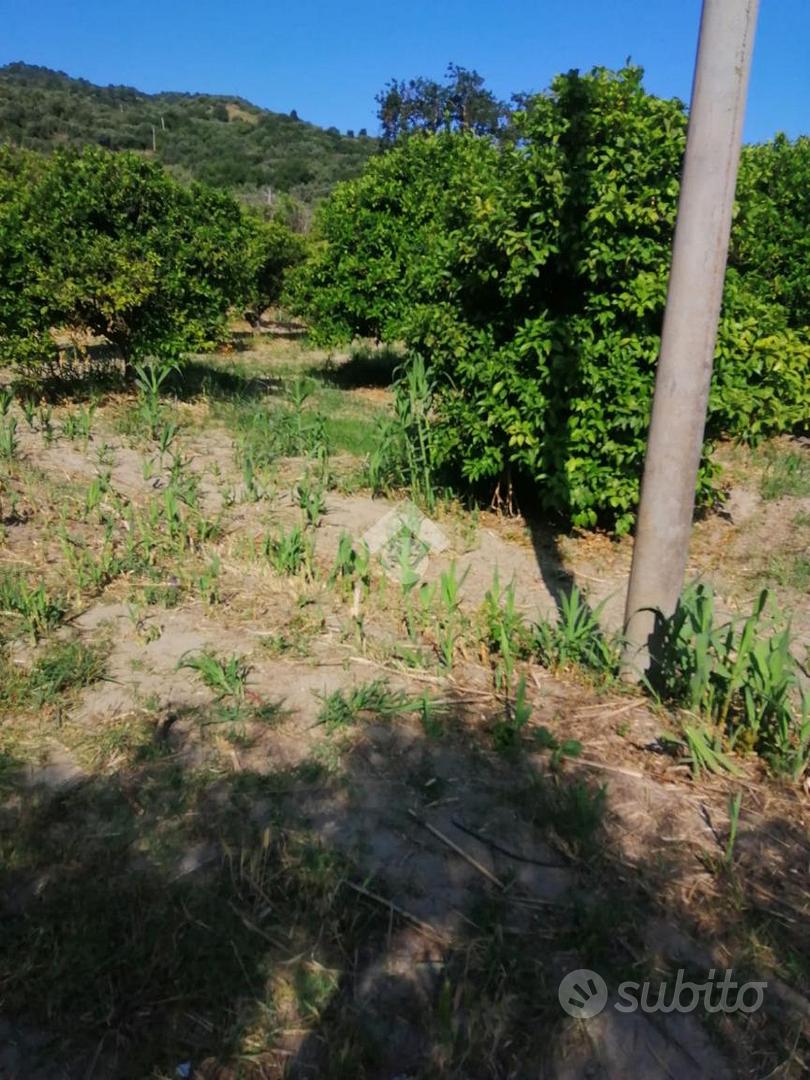 TER. AGRICOLO A SQUILLACE - Vista 3