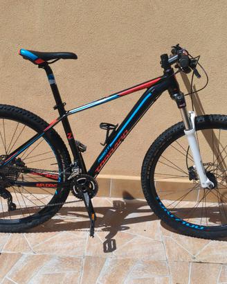 Mtb 29 torpado ribot z 2020