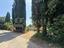 Immagine 10