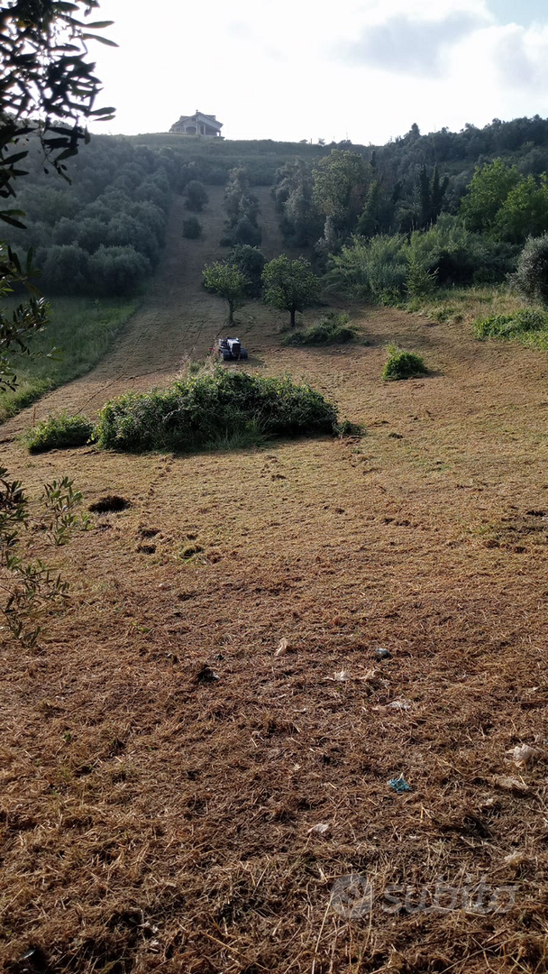 Terreno agricolo - Vista 3