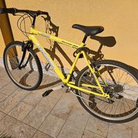 Mountain bike Shadow 7005