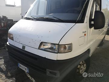 Ducato 2800 jtd ricambi