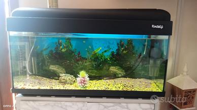 Stupendo Acquario