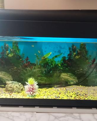 Stupendo Acquario