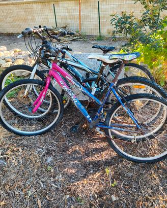 Biciclette da riparare