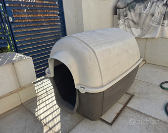 Cuccia per cane media taglia