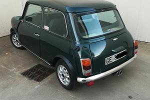 Rover xl mini 10 catalyst 