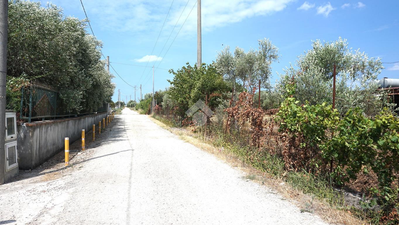 TER. AGRICOLO A EBOLI - Vista 3