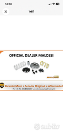 Variatore malossi