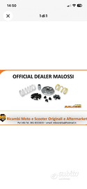 Variatore malossi