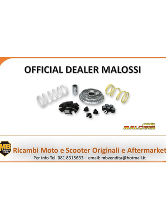 Variatore malossi