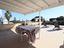Immagine 22