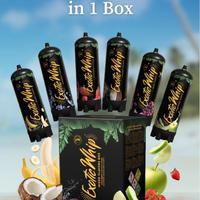 EXOTICWHIP - 6 BOMBOLE 670GR MIX FRUTTA - N2O