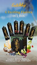 EXOTICWHIP - 6 BOMBOLE 670GR MIX FRUTTA - N2O