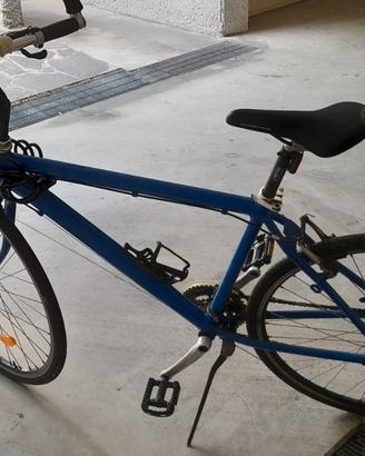 Bici trekking