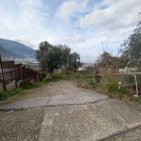 Immobile_terreno agricolo