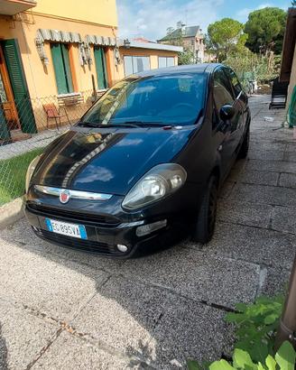 fiat punto 