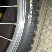 bicicletta  mobili 6 rapporti