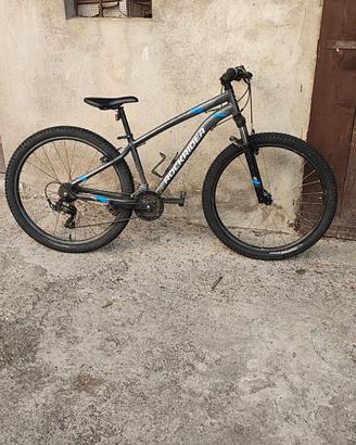 ROCK RIDER ST100