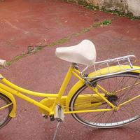 bicicletta 26