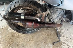 Marmitta serpentina dig rasing artigianale