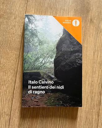 Il sentiero dei nidi di ragno – Italo Calvino
